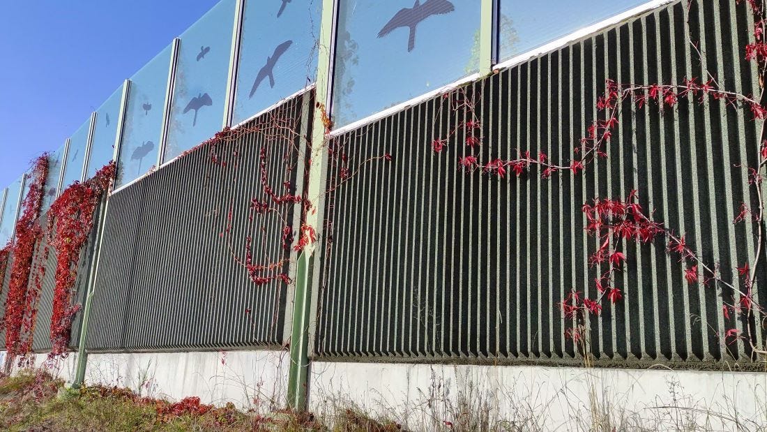 ​What is Acoustic Fence Panelling?