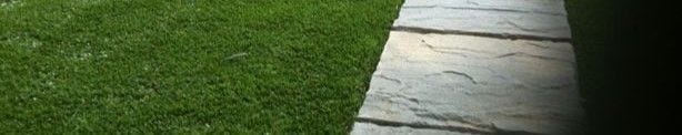Lawn Edging Like a Pro With Steel Edging and Tree Rings