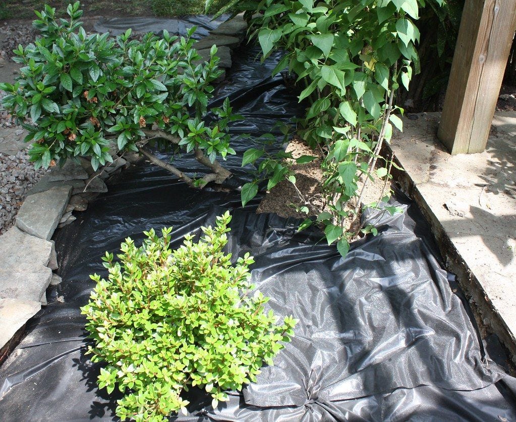 Geotextile Membrane: The Battle Against Weeds is Won