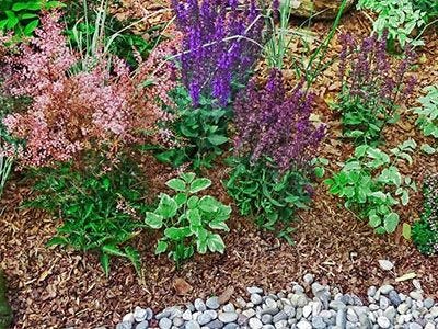 Using Top Soil, Potting Compost and Bark Chippings in the Garden