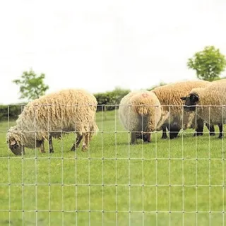 A Guide to Agricultural Fencing