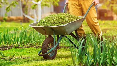 Garden Maintenance