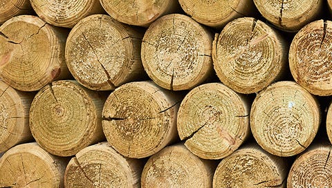 Fence Posts
