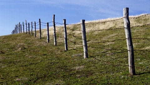 Other Fence Types
